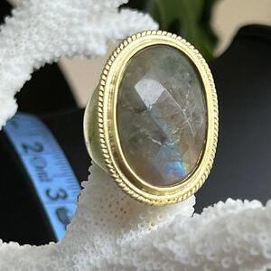 Oval Gray Quarts Cabochon Sheila Fajl GLOW Masterpiece Statement Ring Size 10
